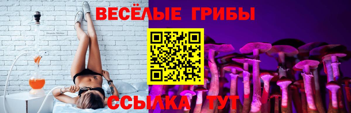 Псилоцибиновые грибы мицелий  Вход с VPN  Луховицы  Галлюциногенные грибы ЛСД 